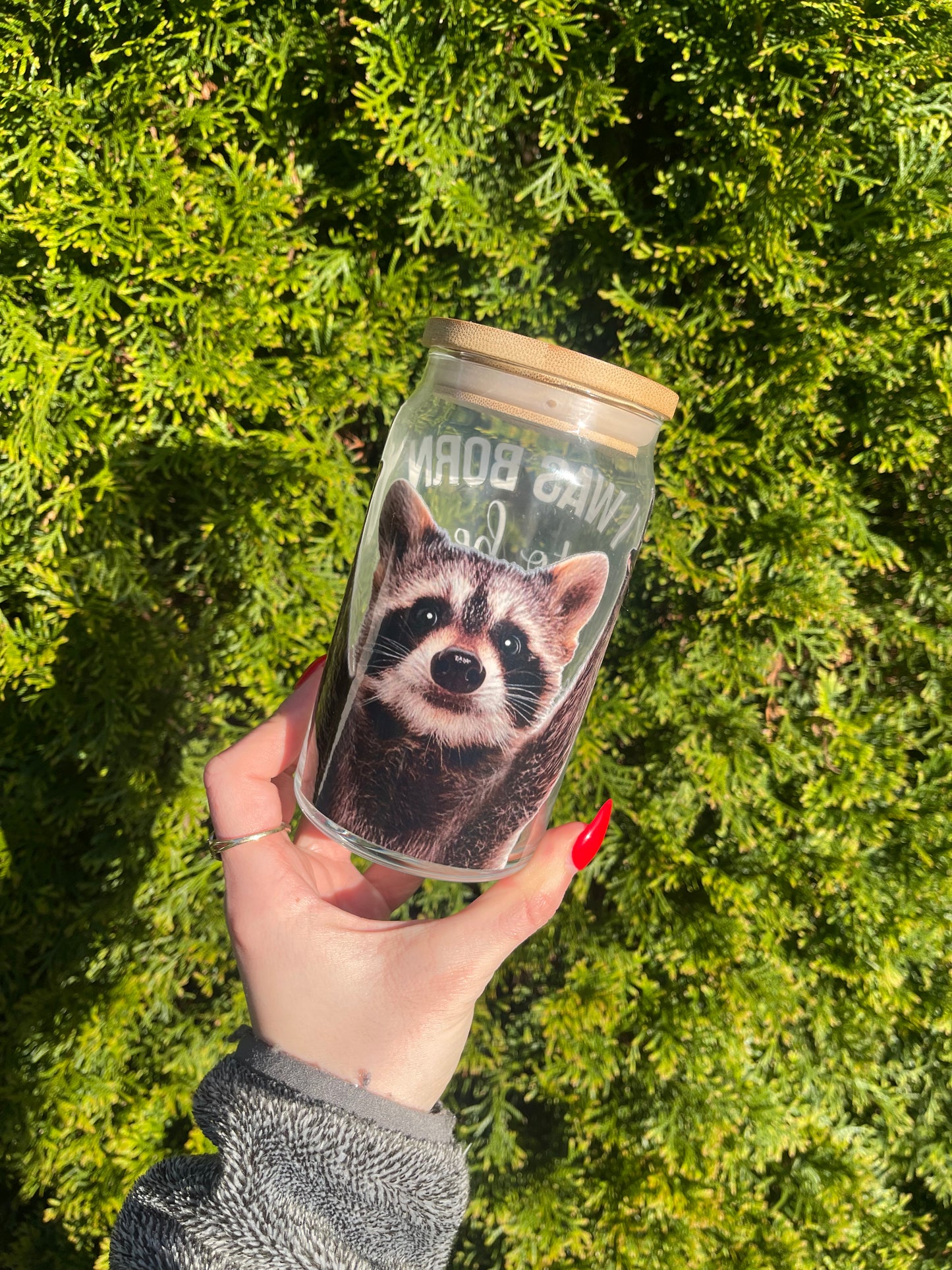 Raccoon "I Was Born To Be Wild But Only Before 9pm Or So"  Glass Cup